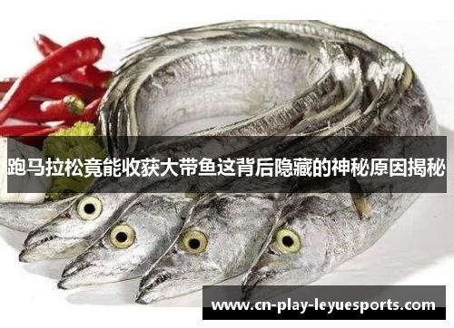 跑马拉松竟能收获大带鱼这背后隐藏的神秘原因揭秘