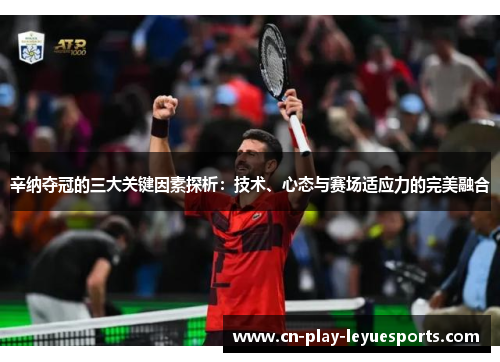 辛纳夺冠的三大关键因素探析：技术、心态与赛场适应力的完美融合