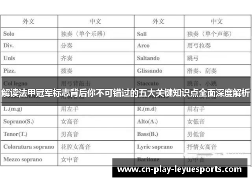 解读法甲冠军标志背后你不可错过的五大关键知识点全面深度解析 解读法甲冠军标志背后你不可错过的五大关键知识点全面深度解析
