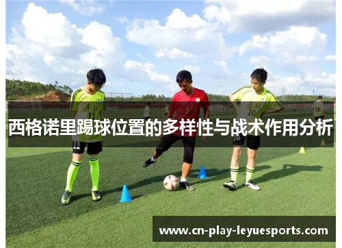西格诺里踢球位置的多样性与战术作用分析