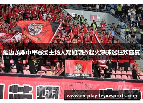 延边龙鼎中甲赛场主场人潮如潮掀起火爆球迷狂欢盛宴