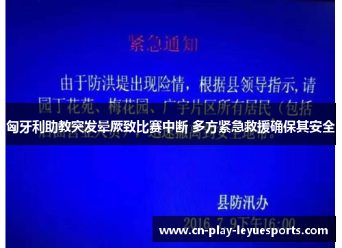 匈牙利助教突发晕厥致比赛中断 多方紧急救援确保其安全